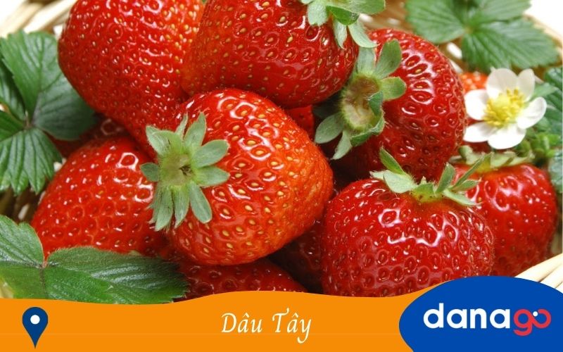 dâu tây đà lạt dâu tây đà lạt