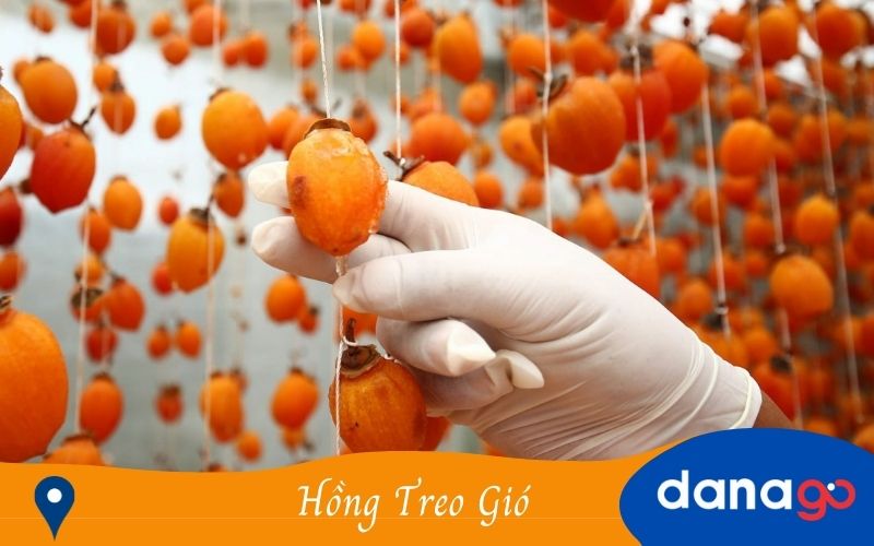 Hồng Treo Gió, Hồng Dẻo Hồng Treo Gió, Hồng Dẻo
