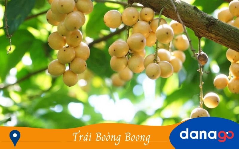 Bòn Bon quảng nam