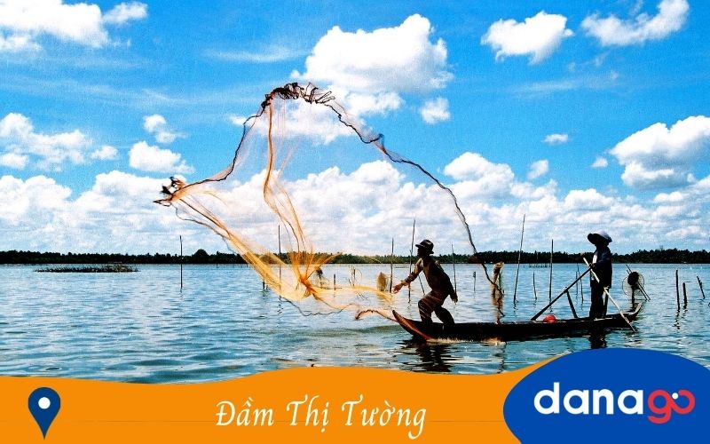 đầm thị tường đầm thị tường