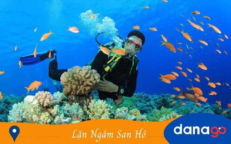 lặn ngắm san hô