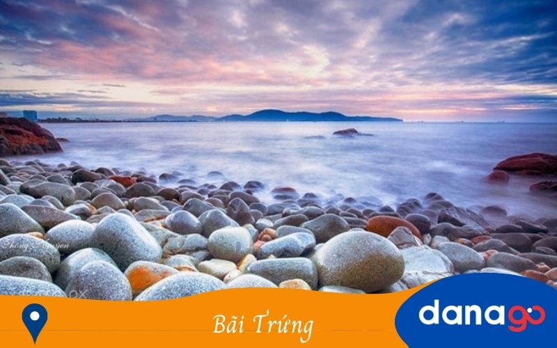 bãi trứng